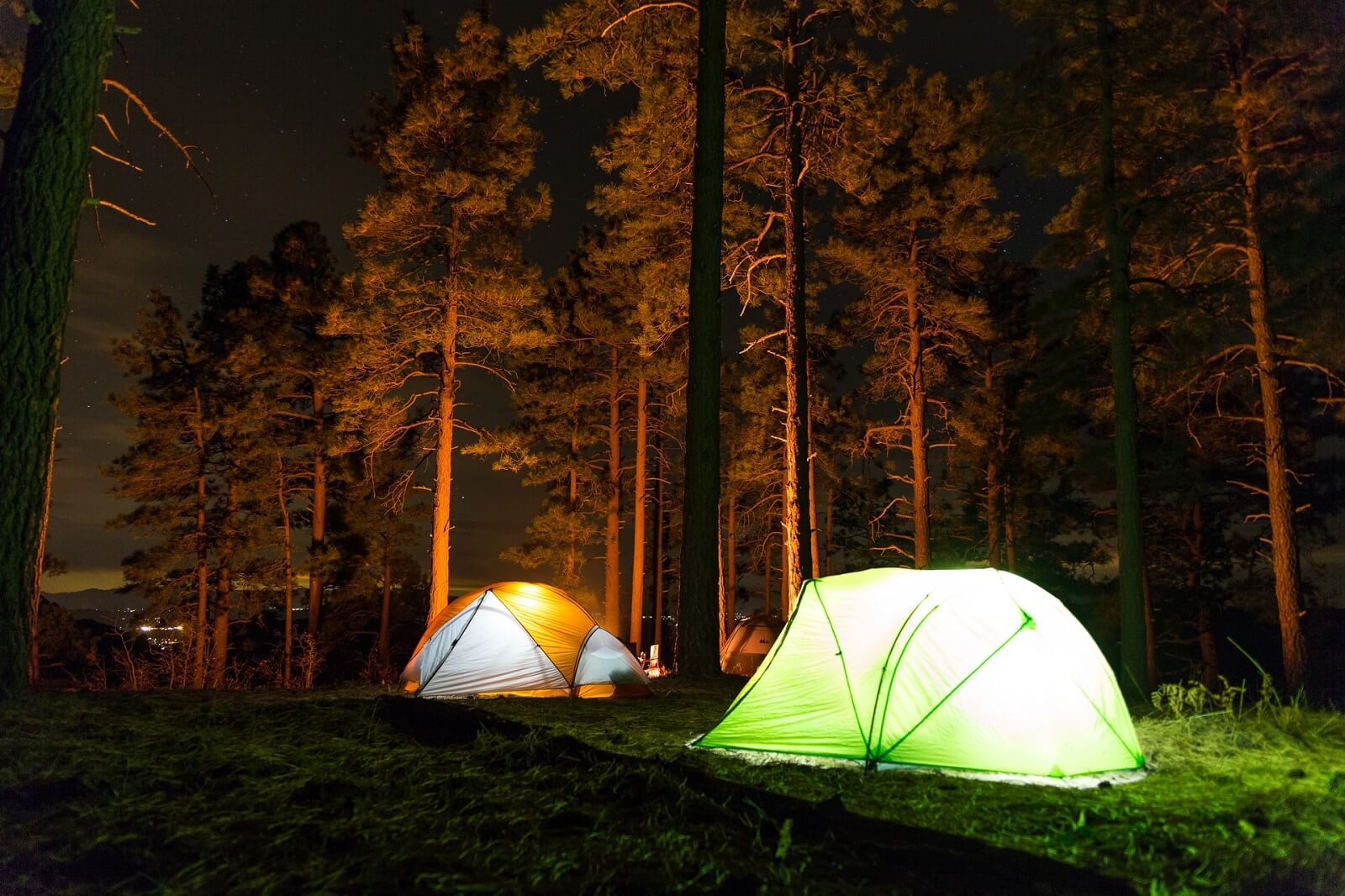 tent camping in the forest